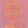 Liz Abshire
