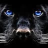 Spirit